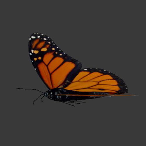 Butterfly animation using Animation Nodes