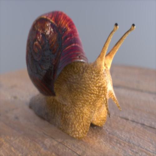 Snail
