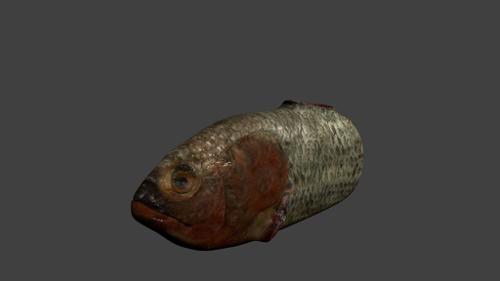 Rotten fish