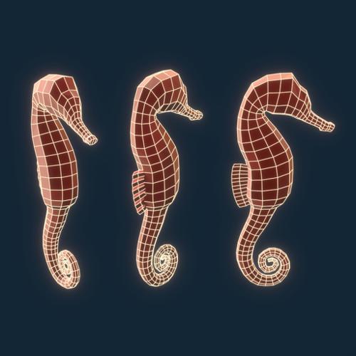 Seahorse basemesh