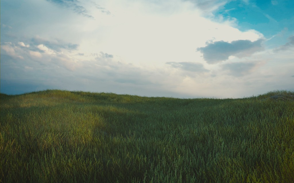 grass