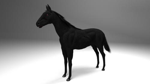 Realistic Horse Mesh (Rigged)