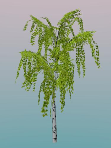 Low poly Birch Tree