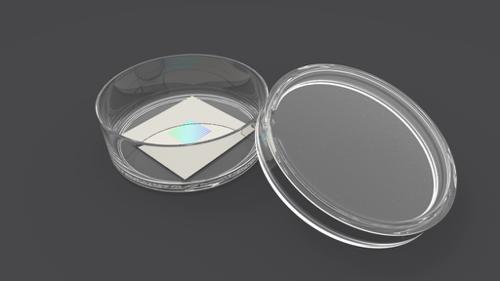 Petri dish with simple sample