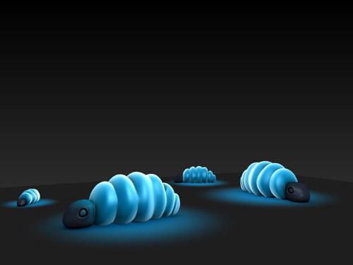 Glow Worms