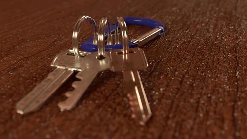 Carabiner Keychain
