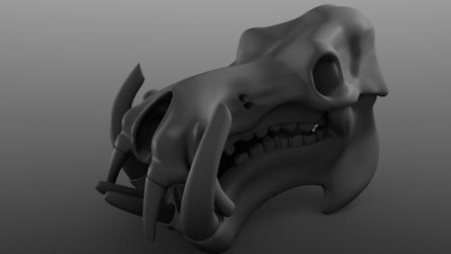 Hippo Skull