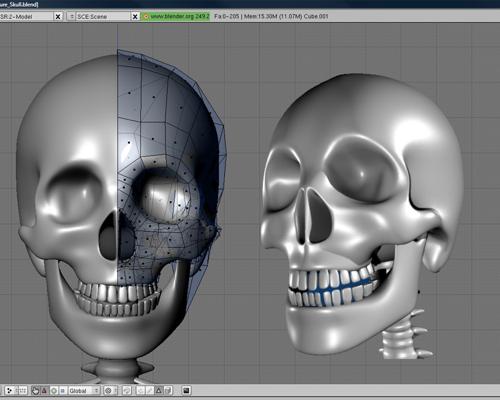 Creature Skull