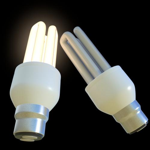 light bulb (fluorescent)