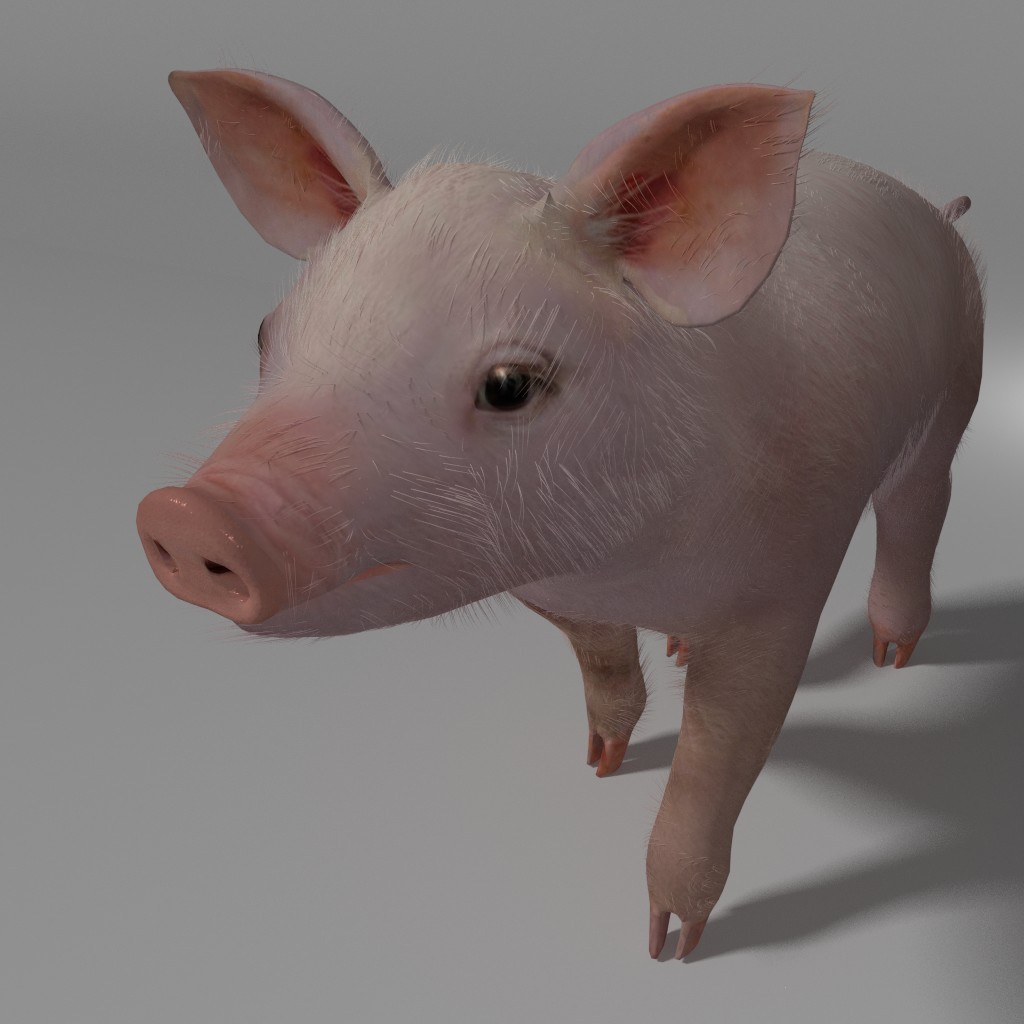 Piglet (rigged, a little)