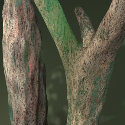 Procedural Tree Material