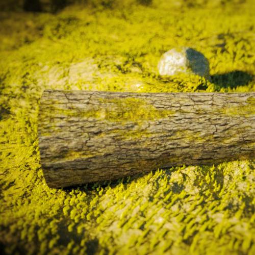 Grass, Log, and Rock