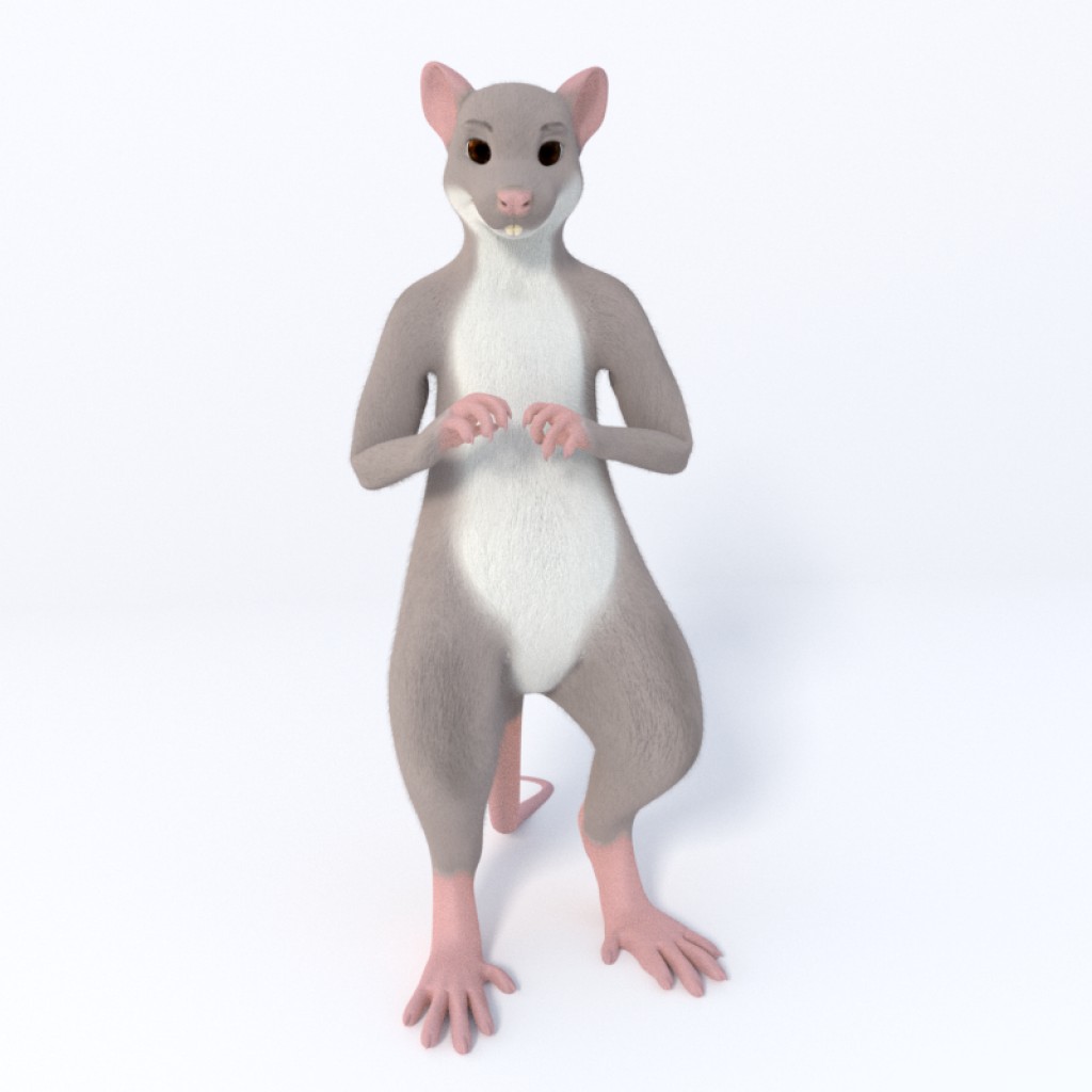 Mouse model