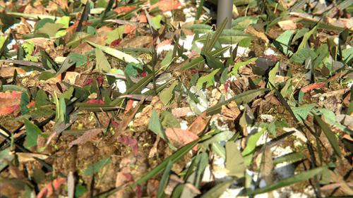 Leaf Litter Particles