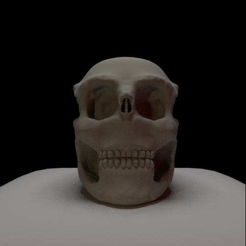 Humanoid Skull Basemesh