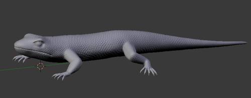 Desert Lizard