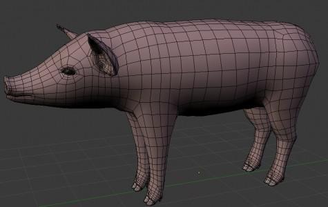 Pig