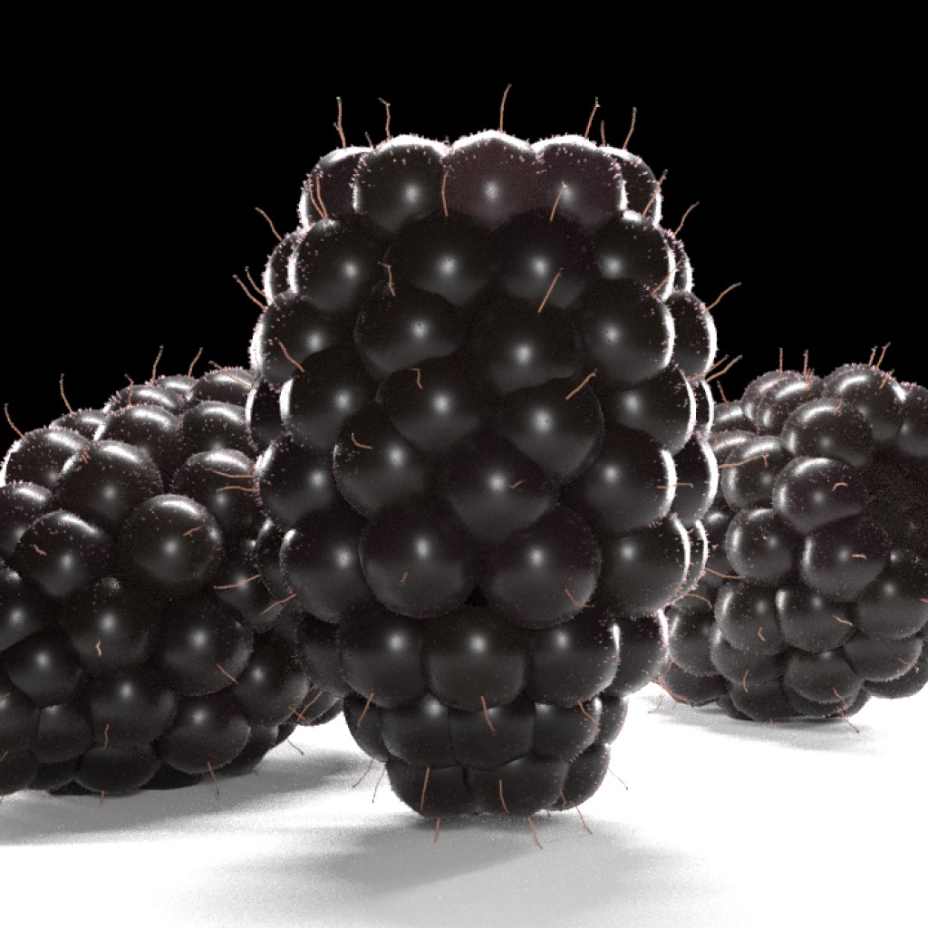 Blackberry Fruit