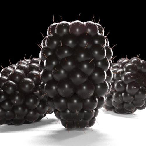 Blackberry Fruit
