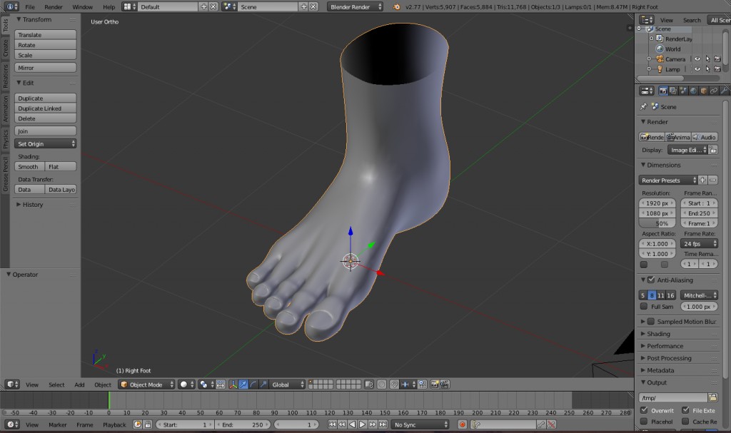 Right foot