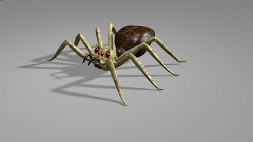 Spider_rigg