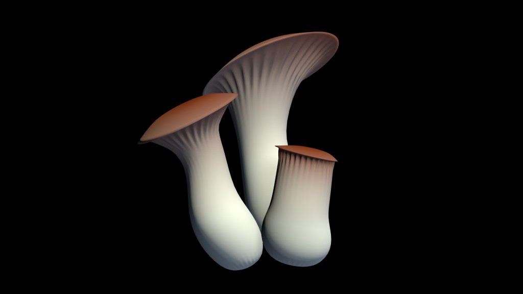 Pleurotus eryngii King trumpet mushroom