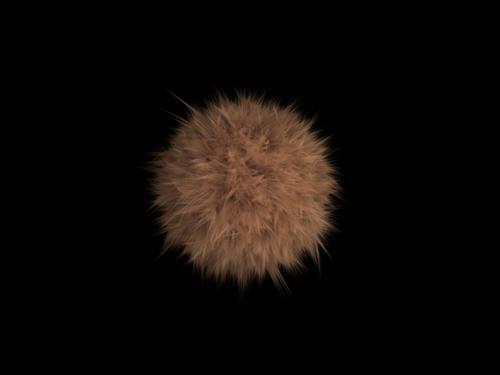 Brown fur