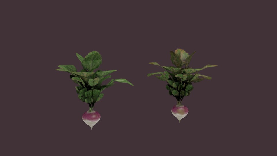 krizas trash turnip