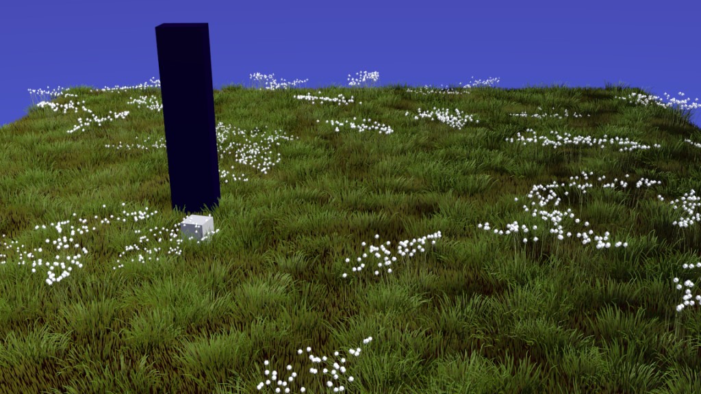 Cotton Grass