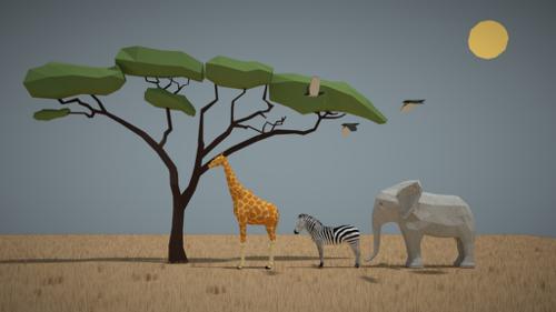 savane low poly