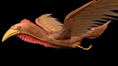 spirit creature ishtar bird