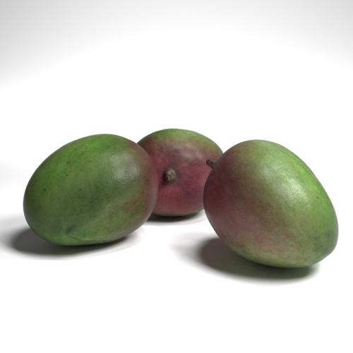 Mango Fruit