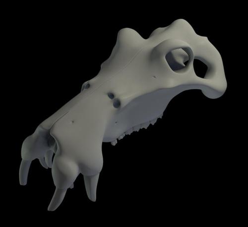 3dommi creature hippo skull