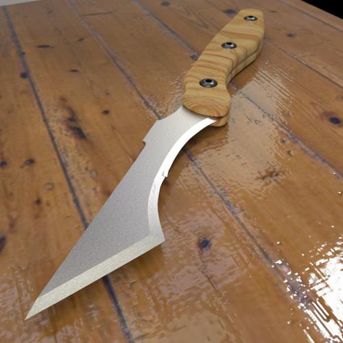 Wharncliffe Knife