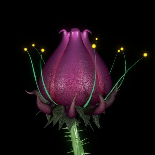 Plantera