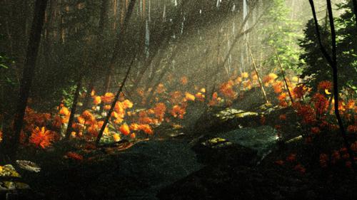Forest
