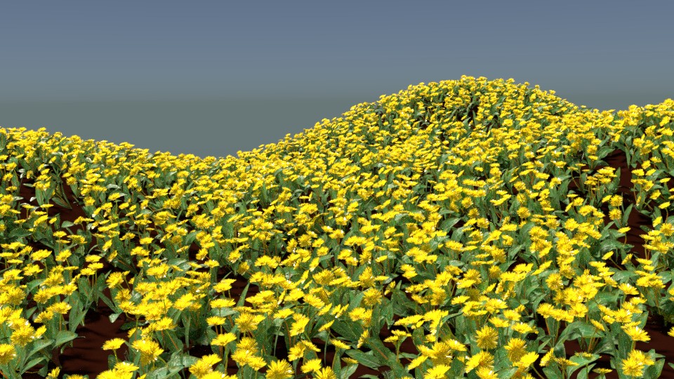 Dandelions