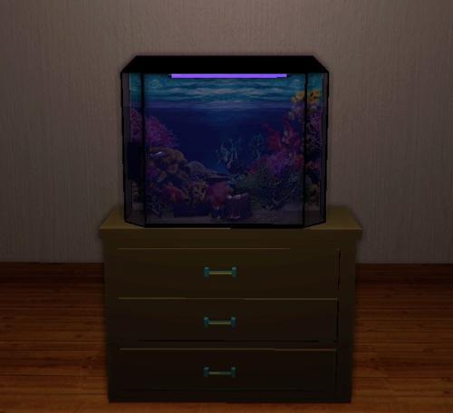 AQUARIUM