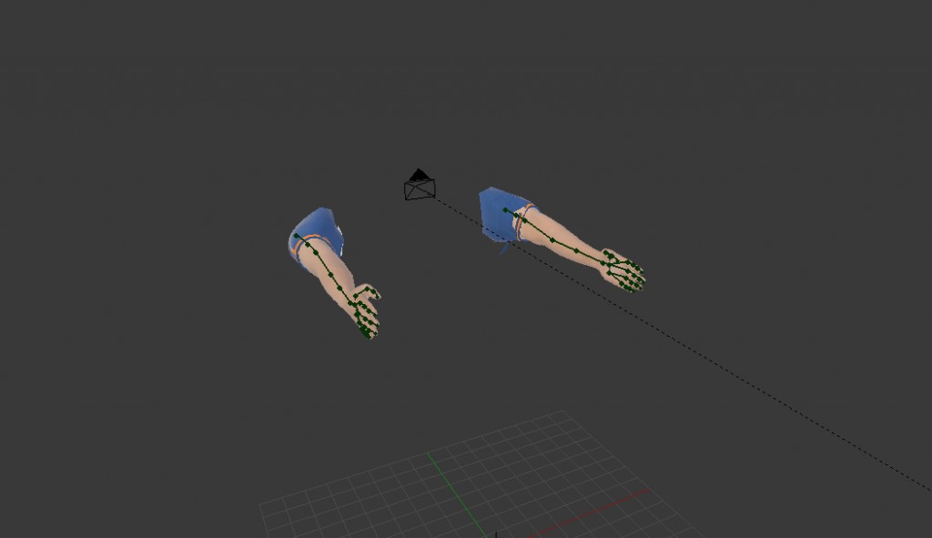 First Person Arm Rig (Wing Rig)