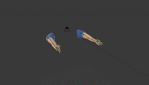 First Person Arm Rig (Wing Rig)