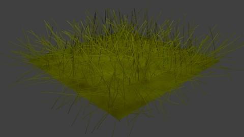 borgetti56 Nature unhealthy-grass