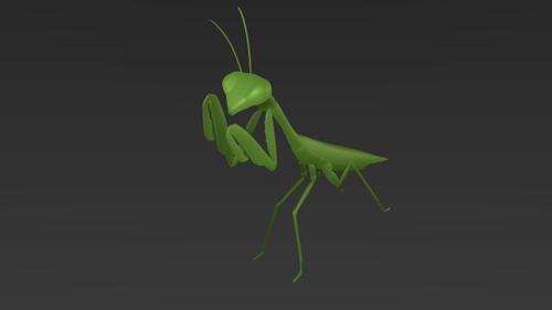 JGL praying mantis