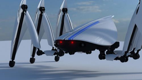 Robot Insect