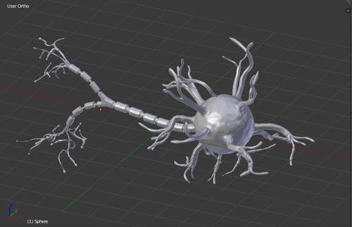 Neuron