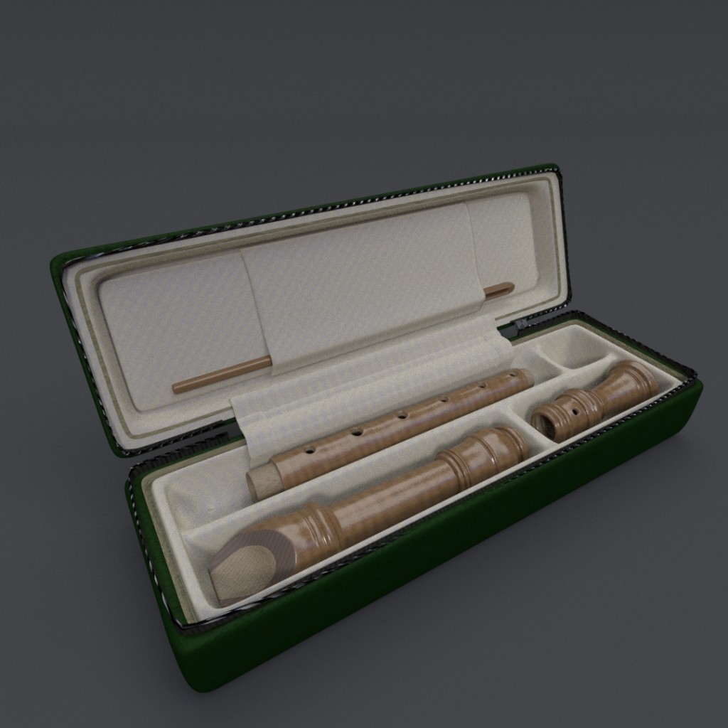 Recorder with Case