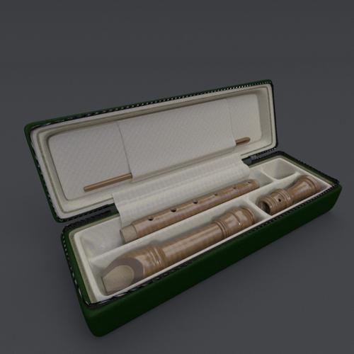 Recorder with Case