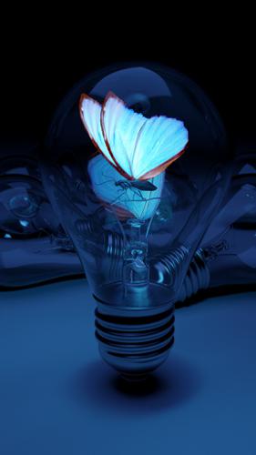 Butterfly Bulb