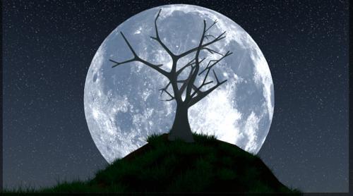Super Moon