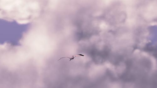 clouds