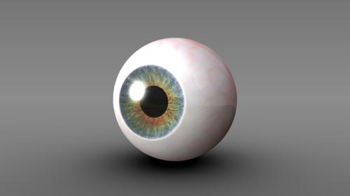 Eye